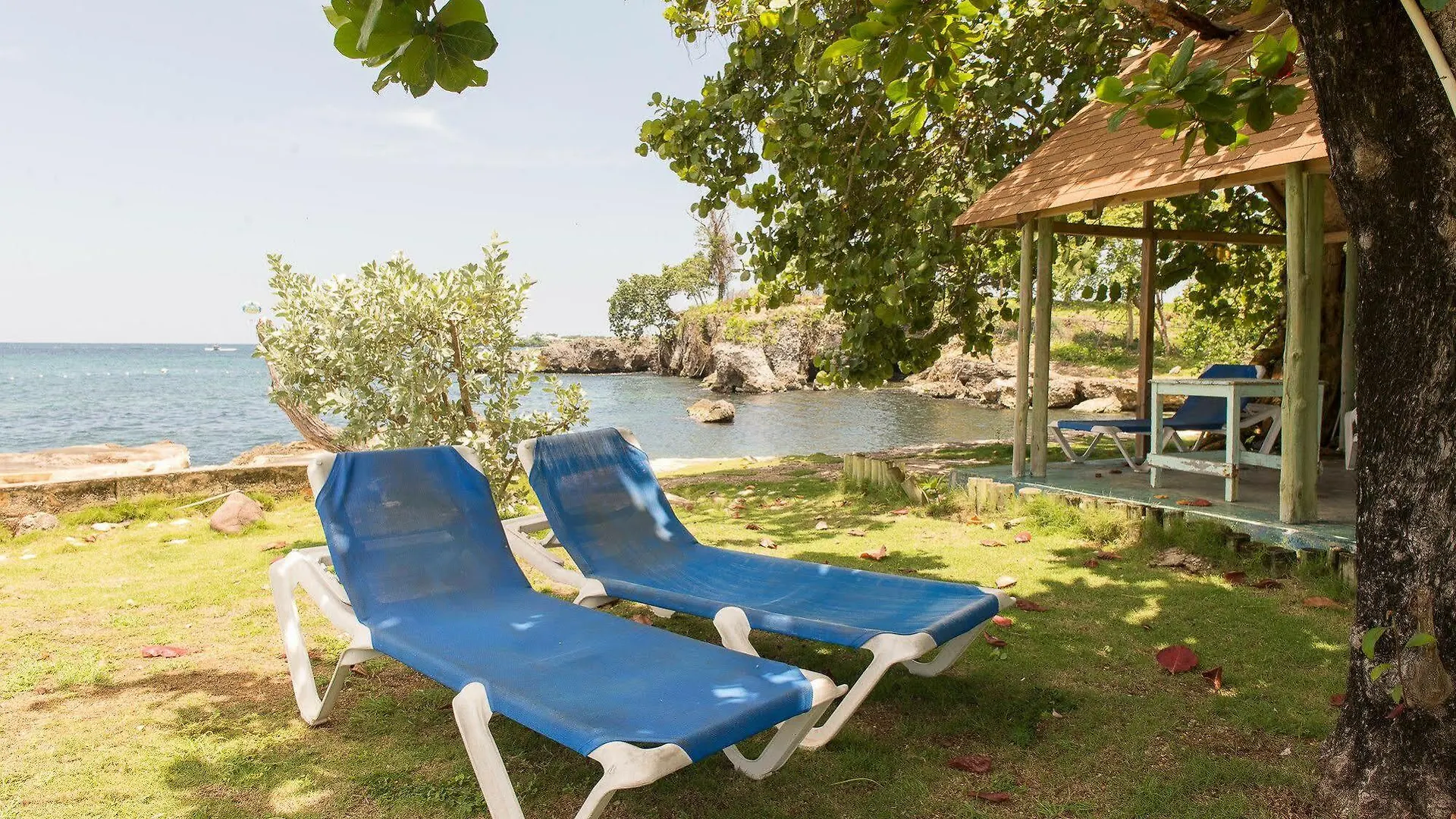 Mango Beach Studio Negril Hotel