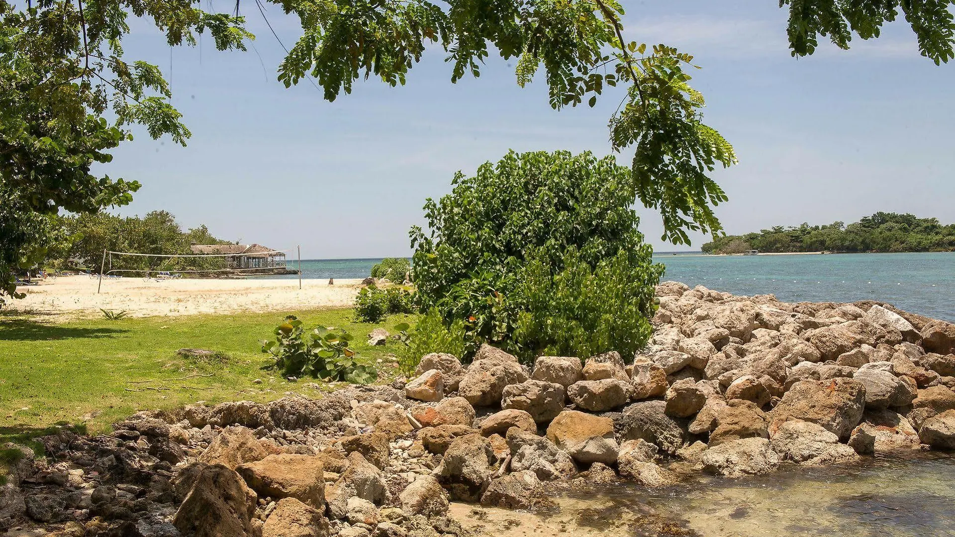 Mango Beach Studio Negril