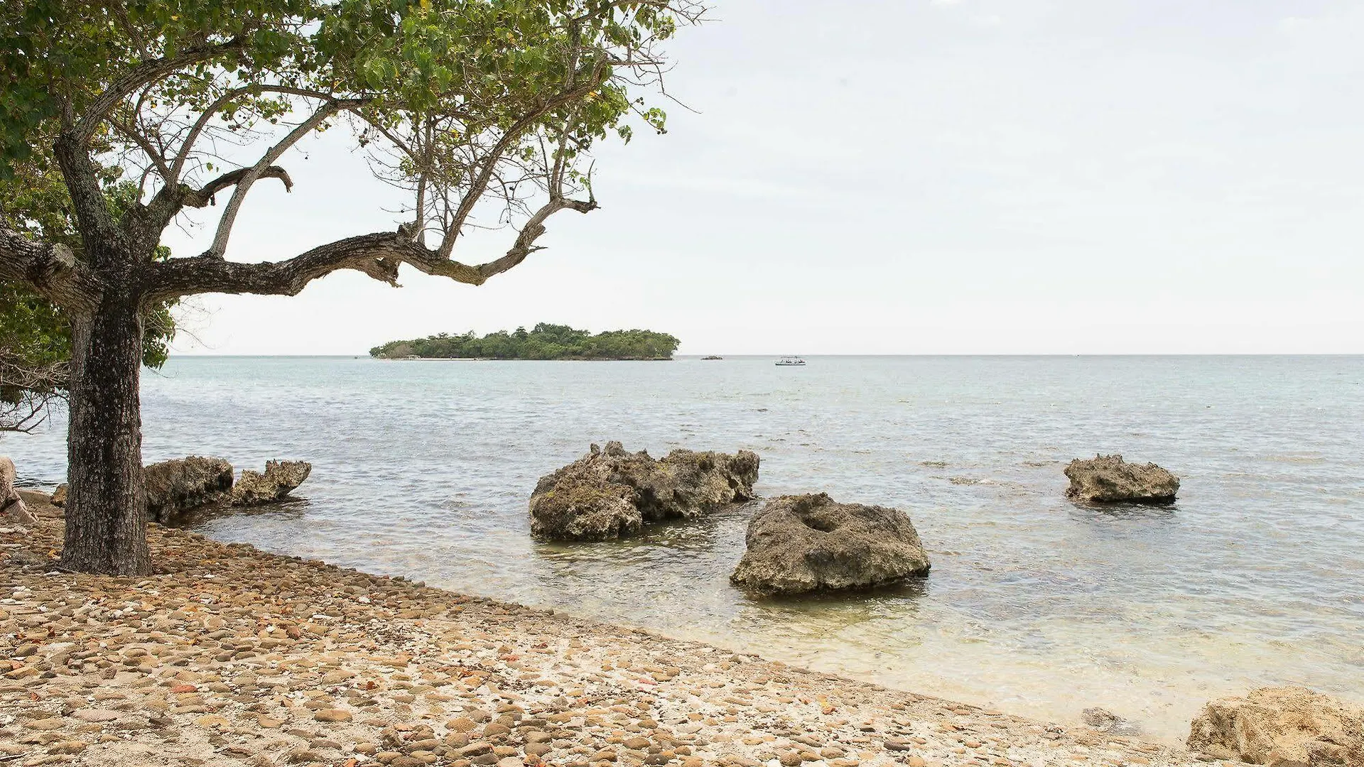 Hotel Mango Beach Studio Negril
