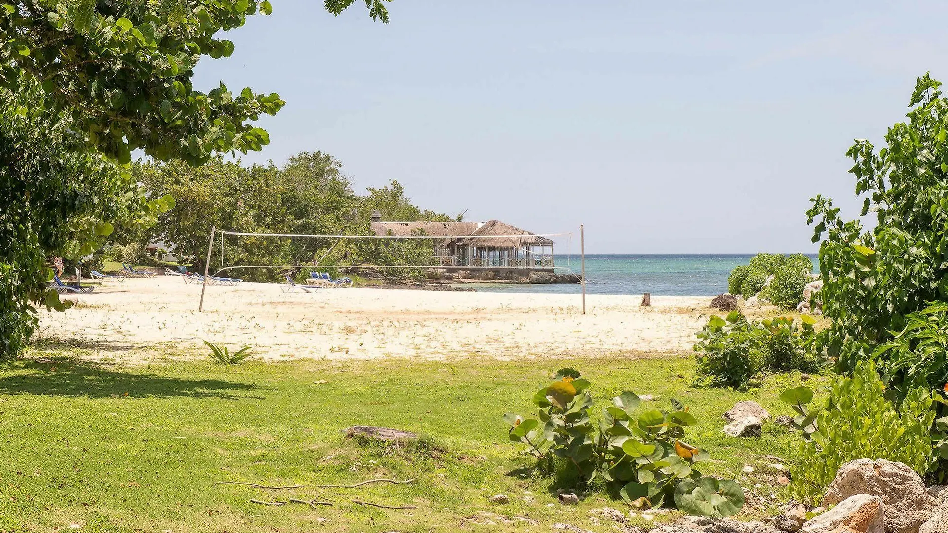 Mango Beach Studio Negril Hotel